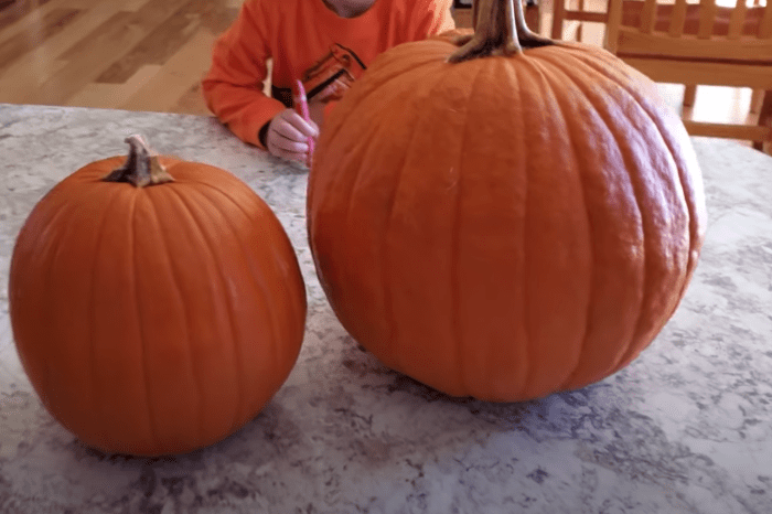 Boy Unwittingly Carves Penis into Jack-O’-Lantern, Mom Can’t Bring Herself to Tell Him