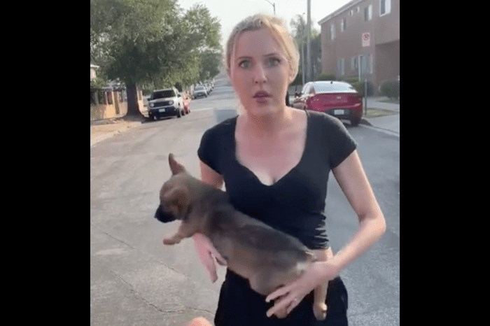 Woman Assaults Man with Puppy