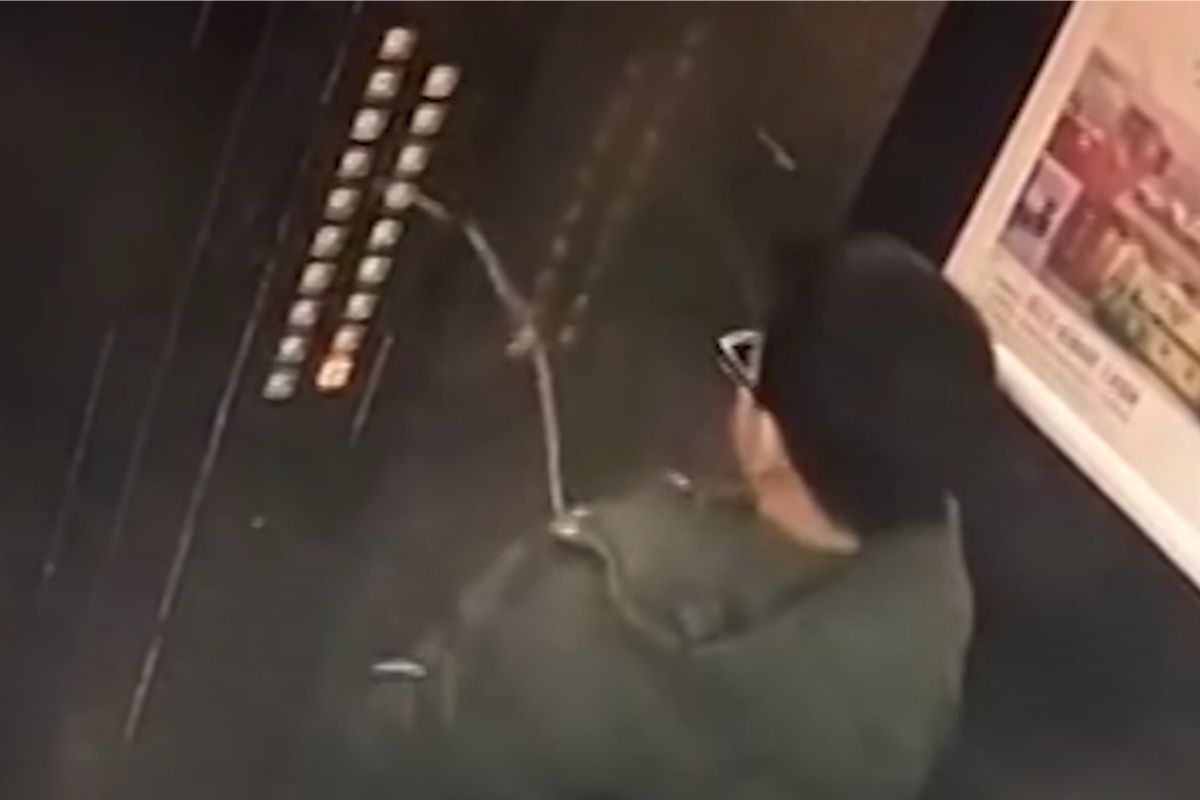 Guy Pees On Elevator Buttons As Prank Short Circuits Elevator Rare 