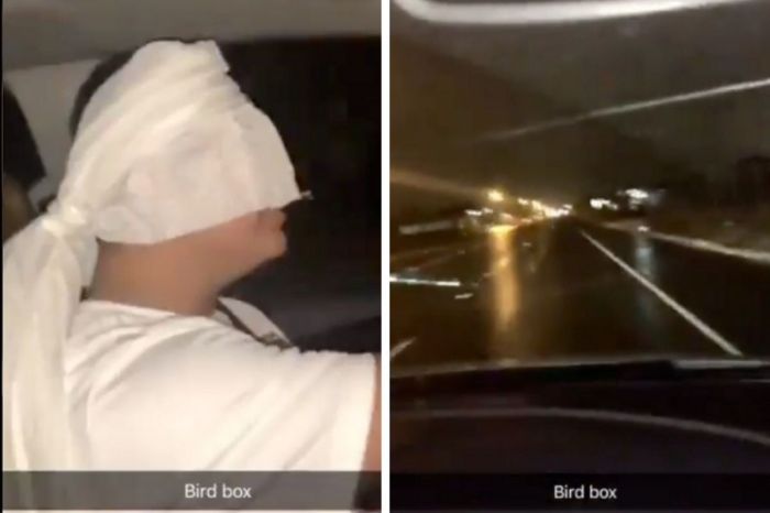 Netflix Warns Viewers Not To Take Part in ‘Bird Box’ Challenge