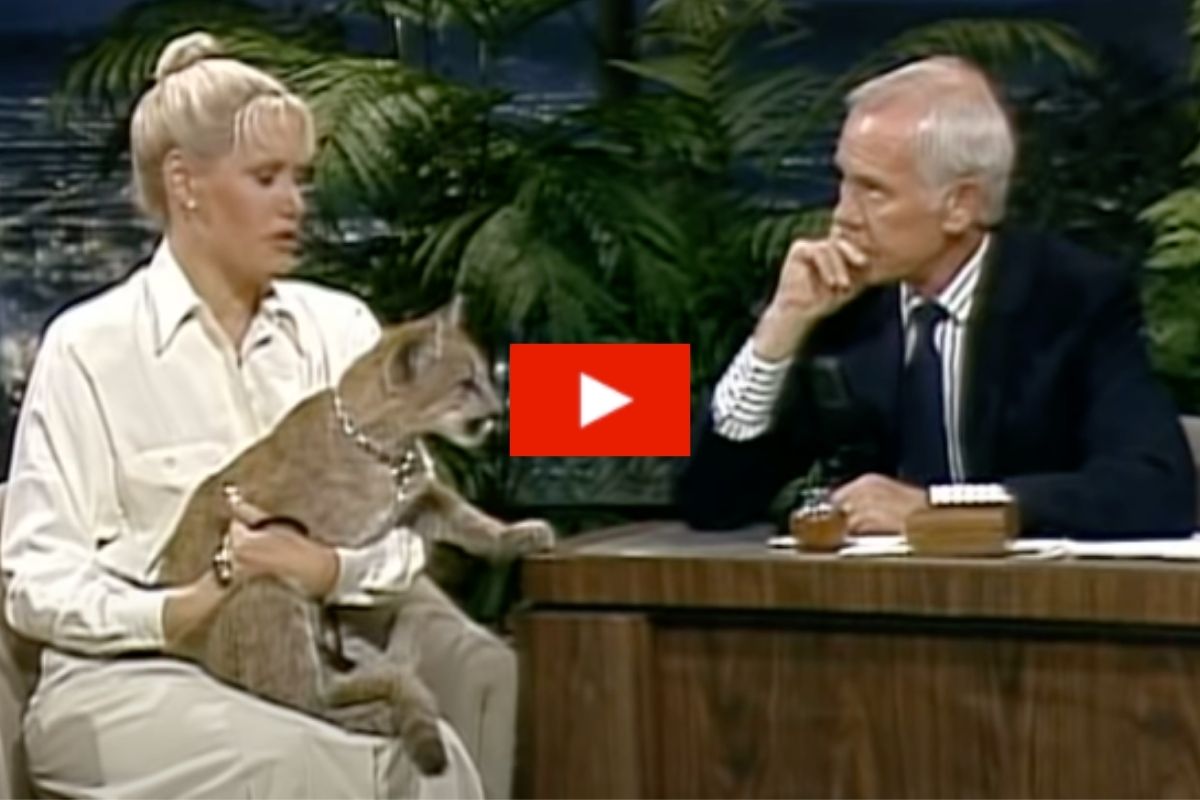 Baby Lion Menacingly Stared Down Johnny Carson on “The Tonight Show”