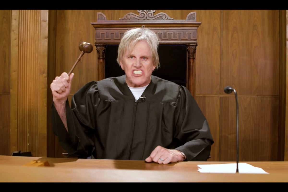 ‘Gary Busey: Pet Judge’ Is a Real TV Show That Settles Your Animal Dispute in Court