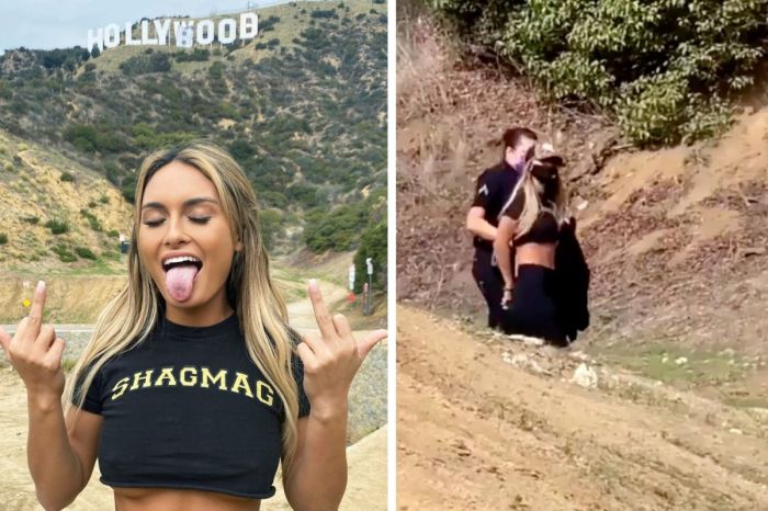 Porn Influencer Arrested After Changing Hollywood Sign to Say “HOLLYBOOB”