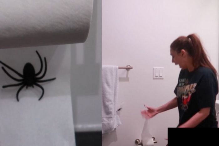 Boyfriend Hilariously Pranks Girlfriend After She Keeps Hanging Toilet Paper The Wrong Way