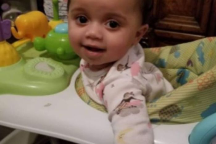 Dog Kills 1-Year-Old After She Got Too Close to Its Food Bowl