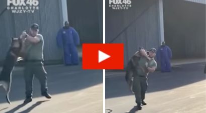 Officer Caught Choking K-9 with Leash, Slams it Into Vehicle