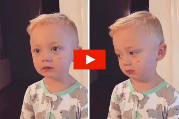 3-Year-Old Gives Unexpected Response After Mom “Ate All His Candy”