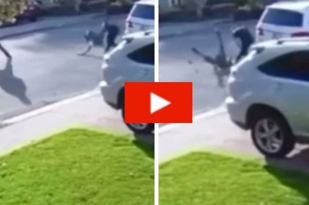 Man Viciously Body-Slams Robber During Attempted Robbery