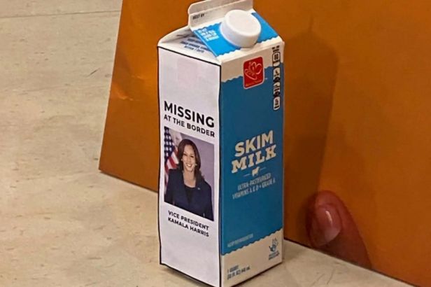 House Republicans Troll Kamala Harris With ‘Missing at Border’ Milk Carton