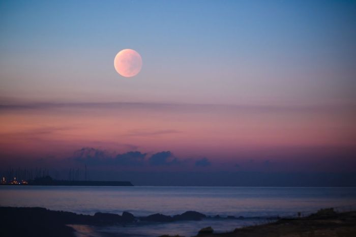 A Rare Pink Moon Will Lights Up The Sky on April 26!