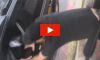 Chicken Express Employee Attacks Customer Through Drive-Thru [Video]