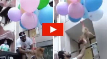 Man Arrested for Tying His Dog to Helium Balloons