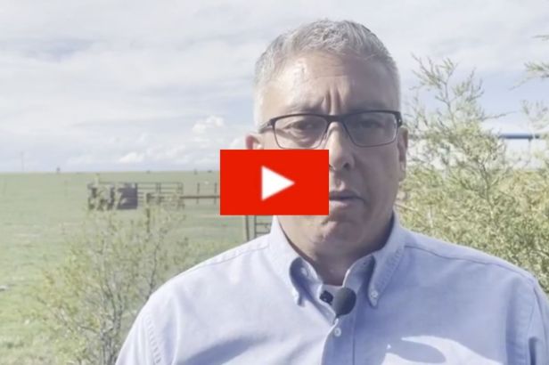 Senator Impregnated 14-Year-Old Girl When He Was 18, Calls it a “Romeo and Juliet Story”