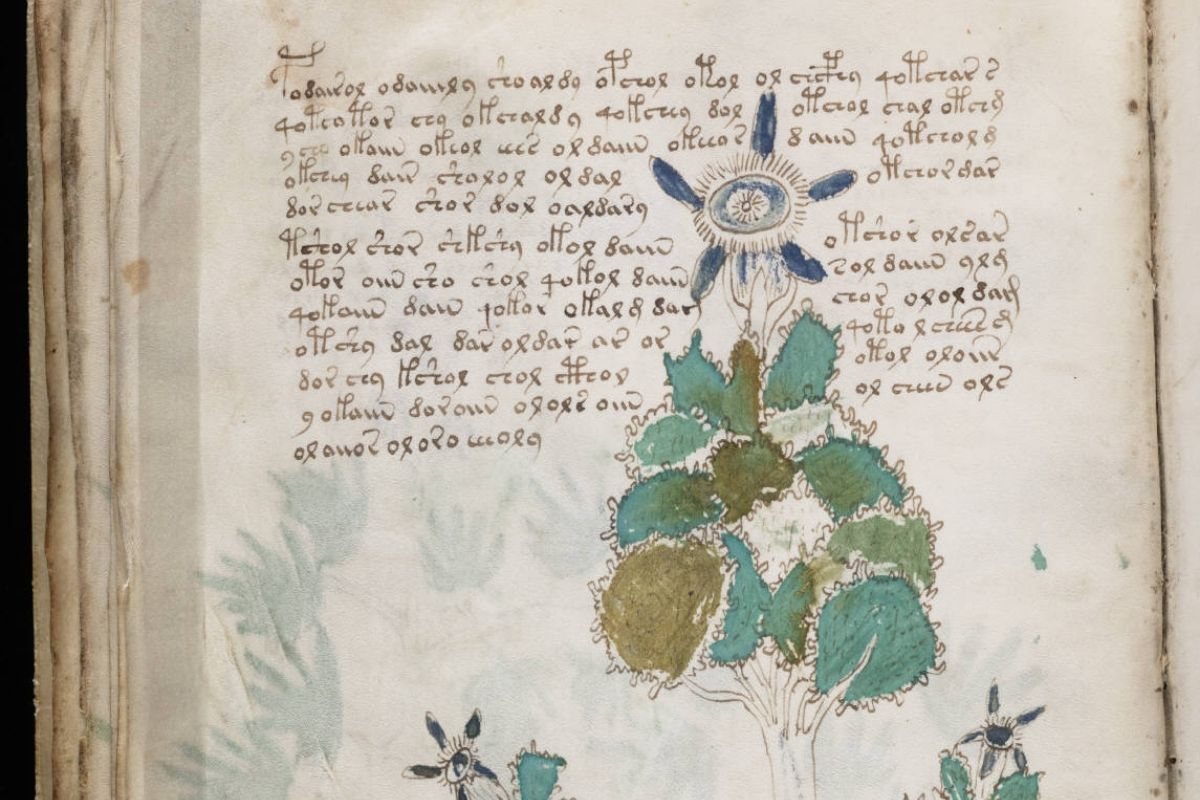 voynich manuscript copy