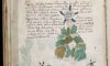 Page from the Voynich Manuscript